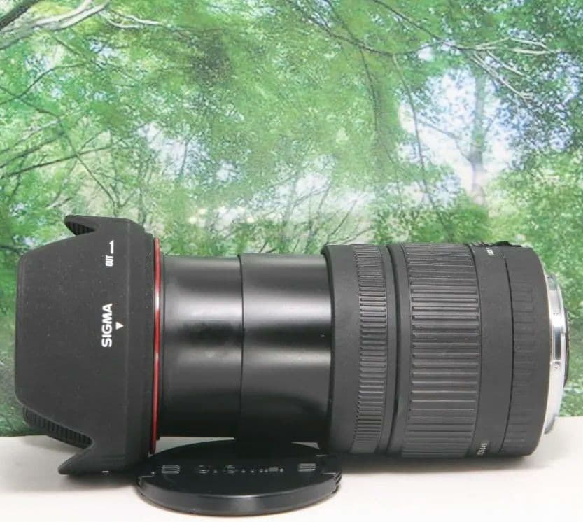 ❤近くから遠くまでこれ１本☆シグマ 18-200mm DC キャノン用❤