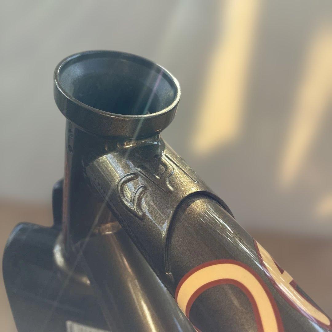 最終価格！CULT BMXフレーム 「DAK」シグネチャー CACTUS