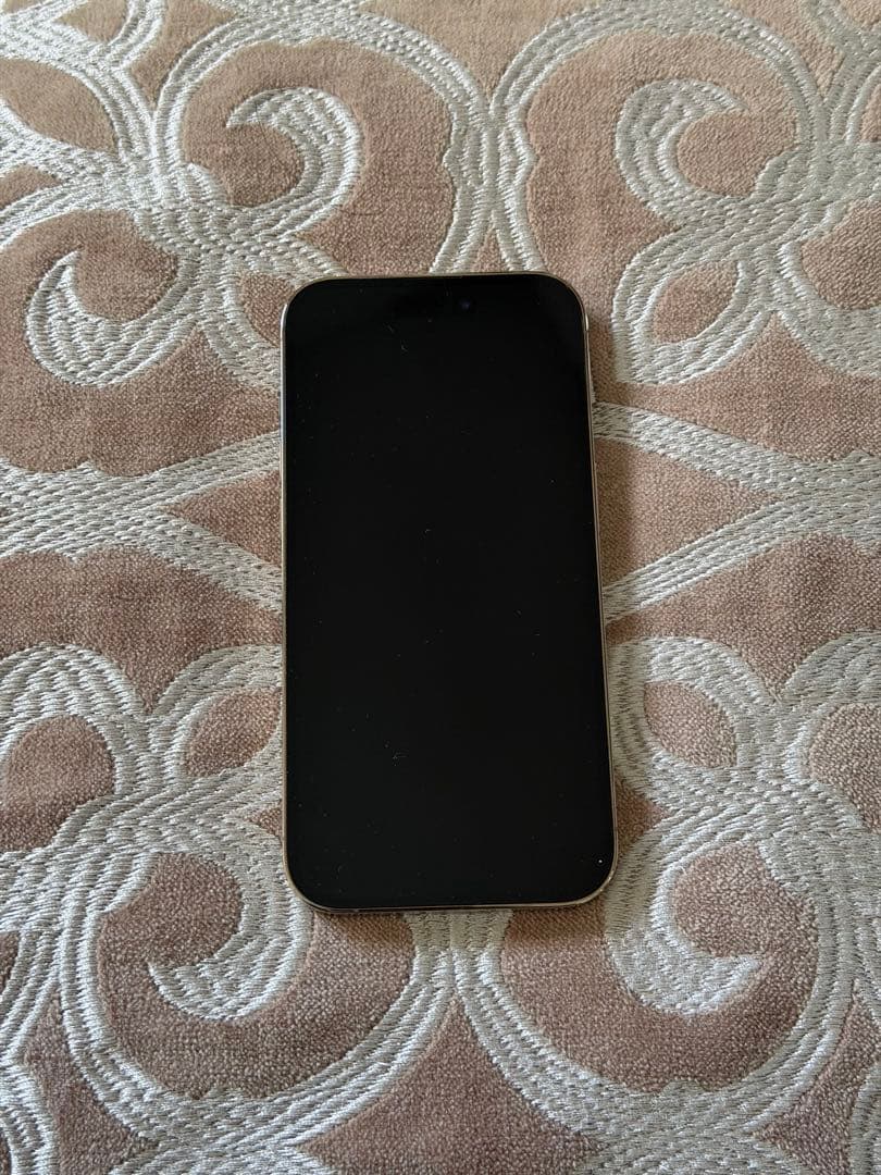 iPhone 14 Pro 512GB Gold 香港版 無音カメラ