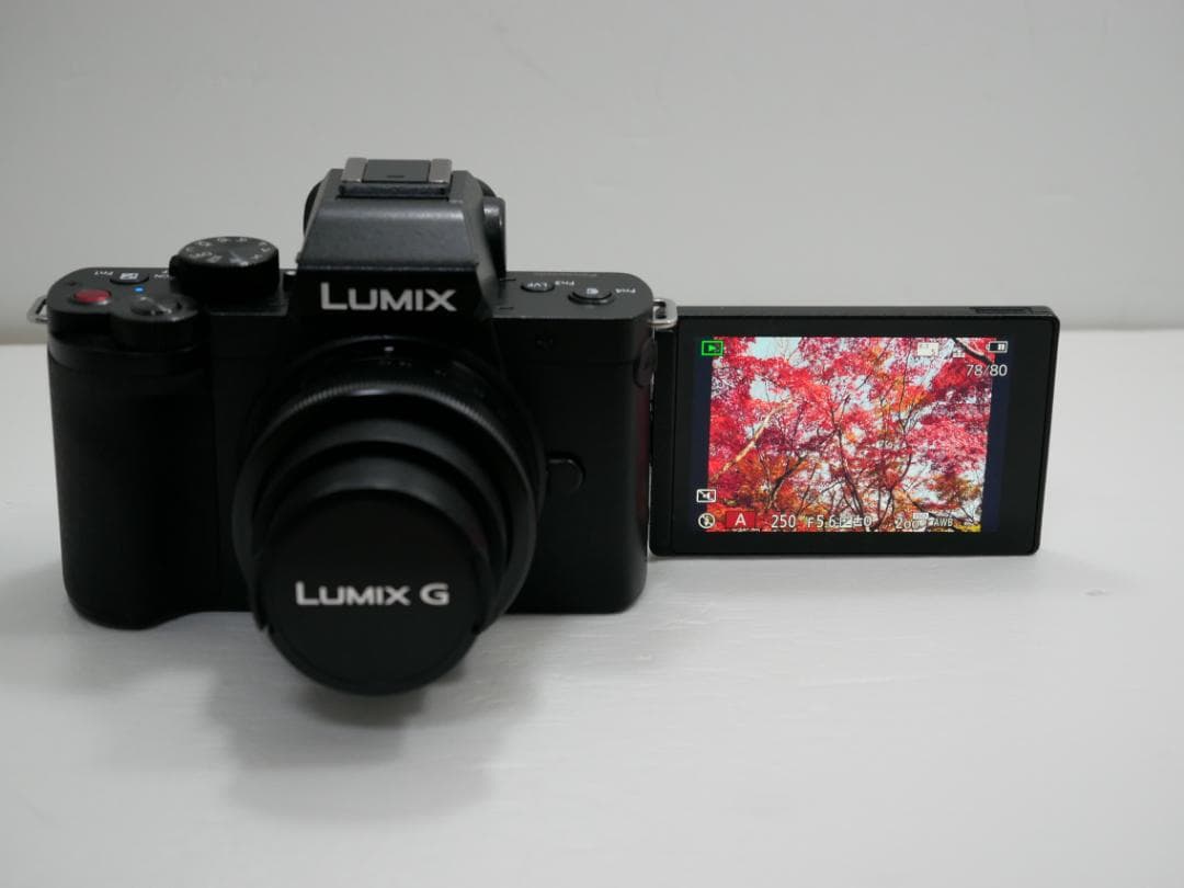 ★★美品・完動品★パナソニックLUMIX DC-G100とレンズ２本付★★