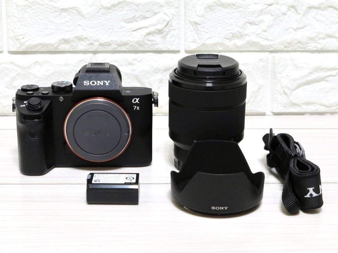 SONYα7 II ズームレンズキット ILCE-7M2K　2996ショット！