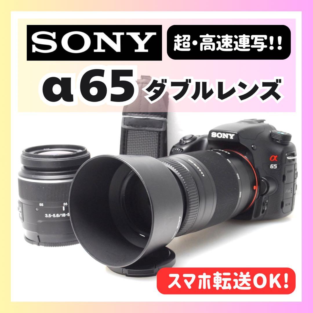 ✨1秒10コマの高速連射✨SONY α65✨ダブルレンズ✨超望遠✨超高画質✨