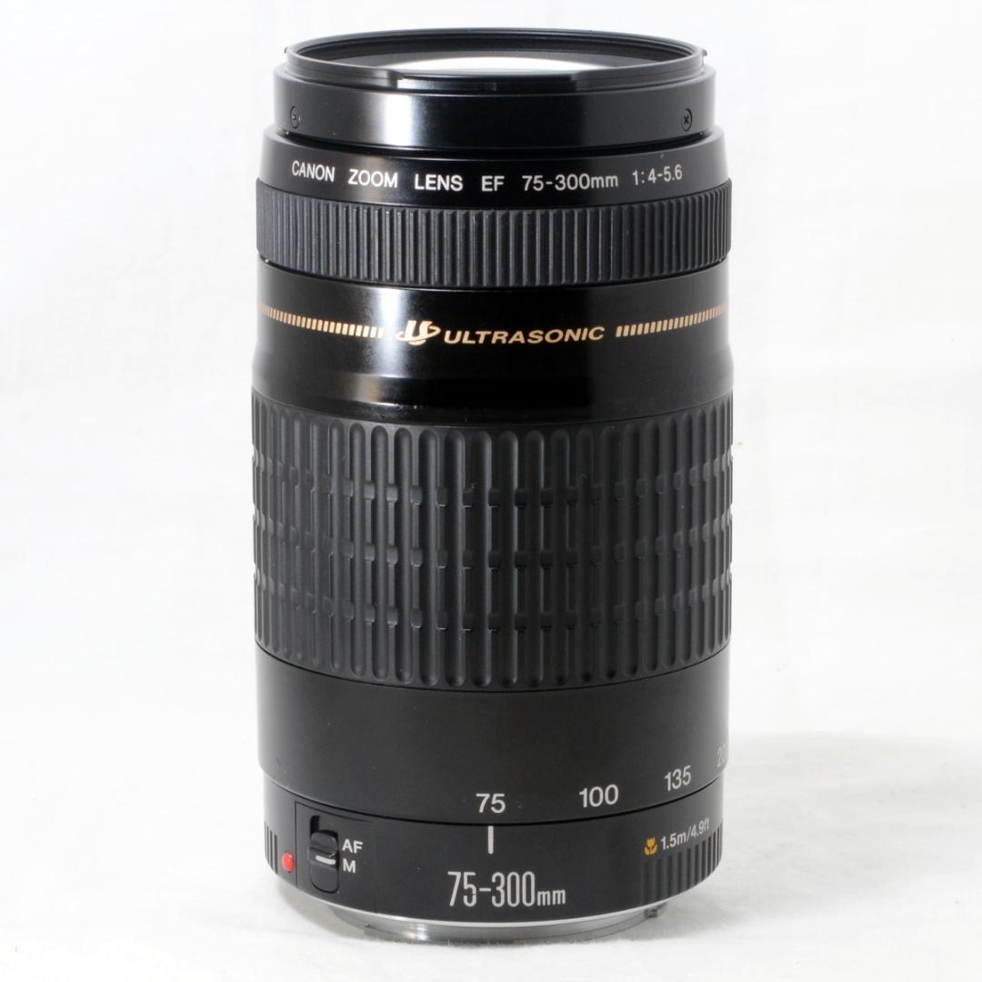 ⭐️良品⭐️Canon キャノン EF 75-300mm F4-5.6 USM