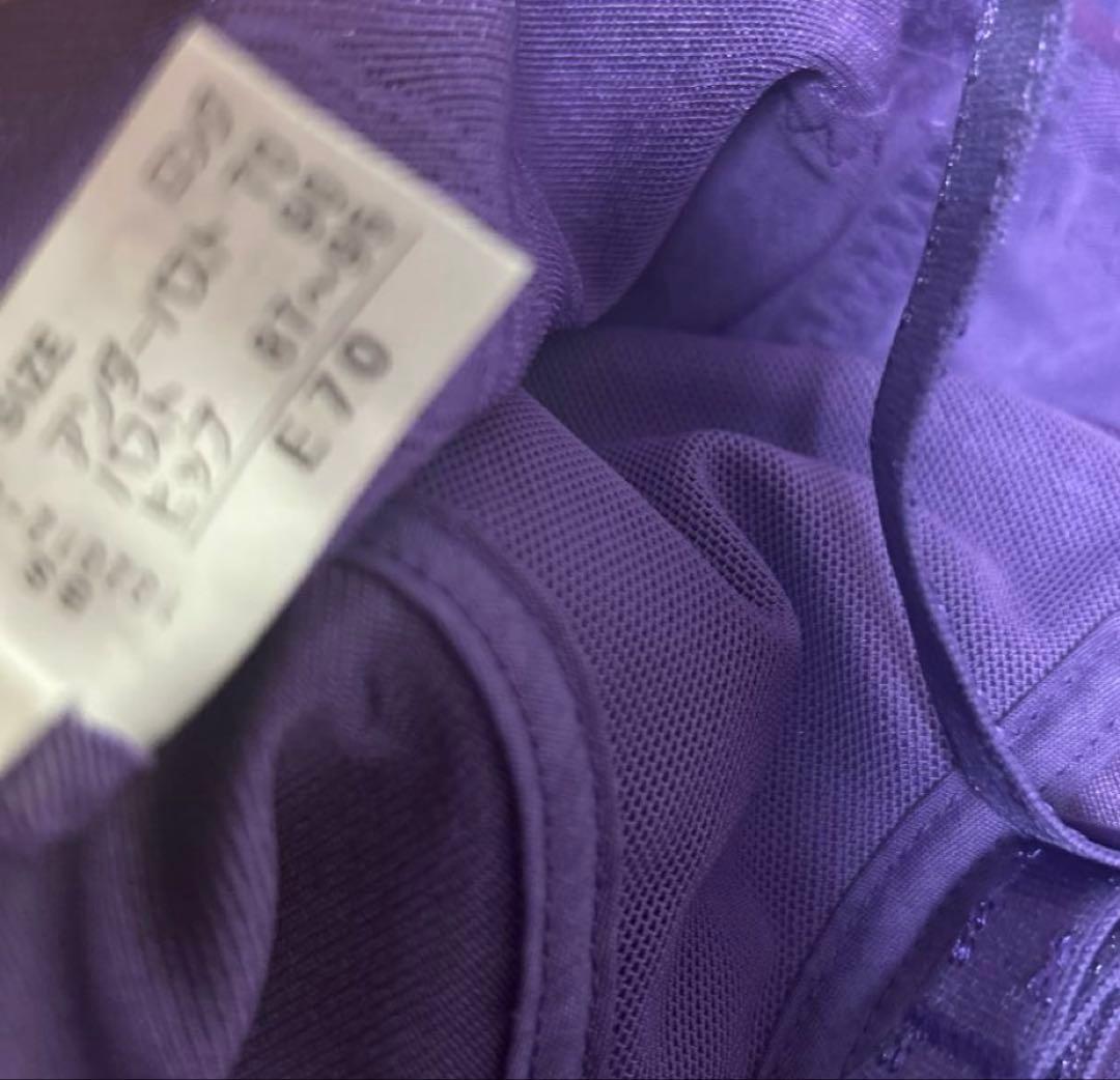 シャンデール　ブラジャーE70 ４点