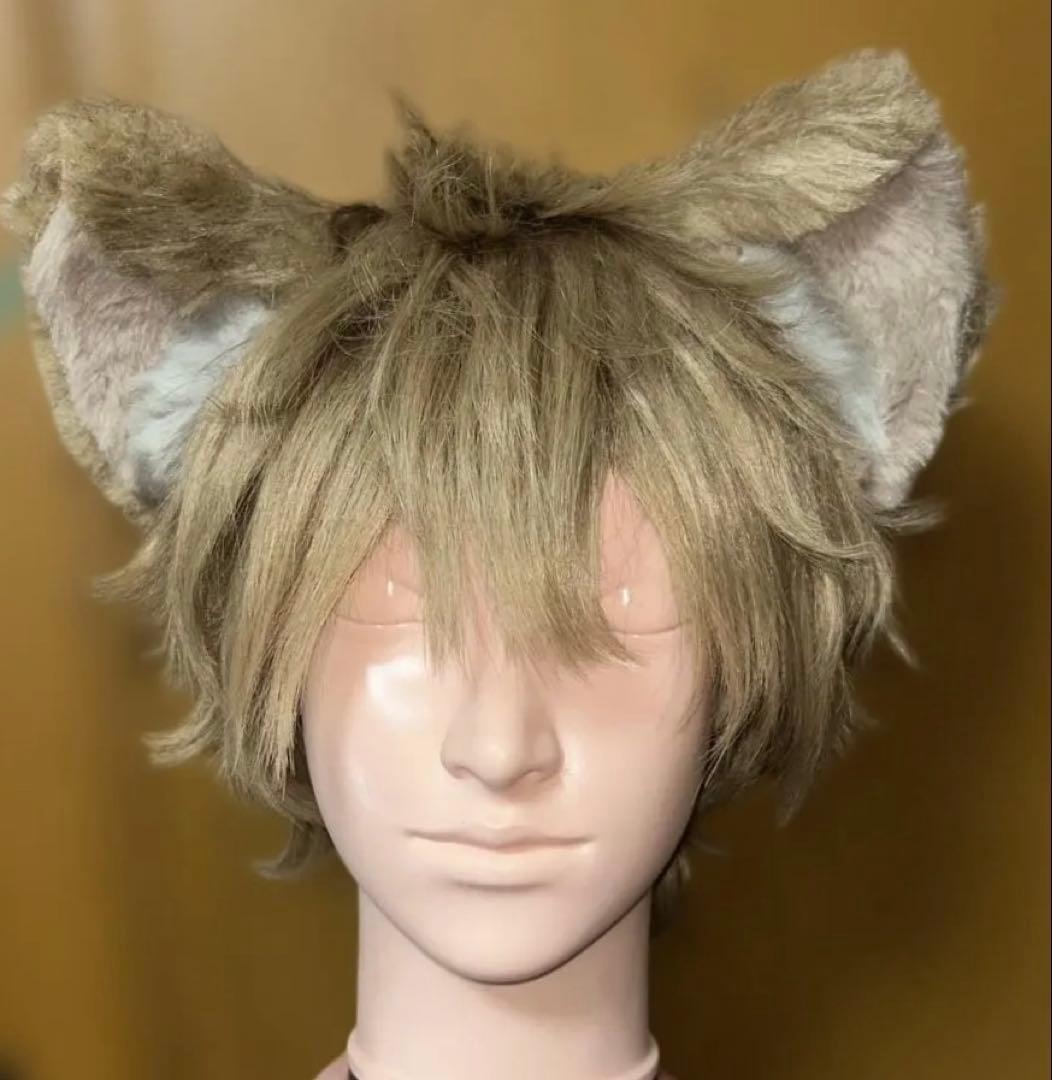 ラギー ウィッグ 耳 尻尾