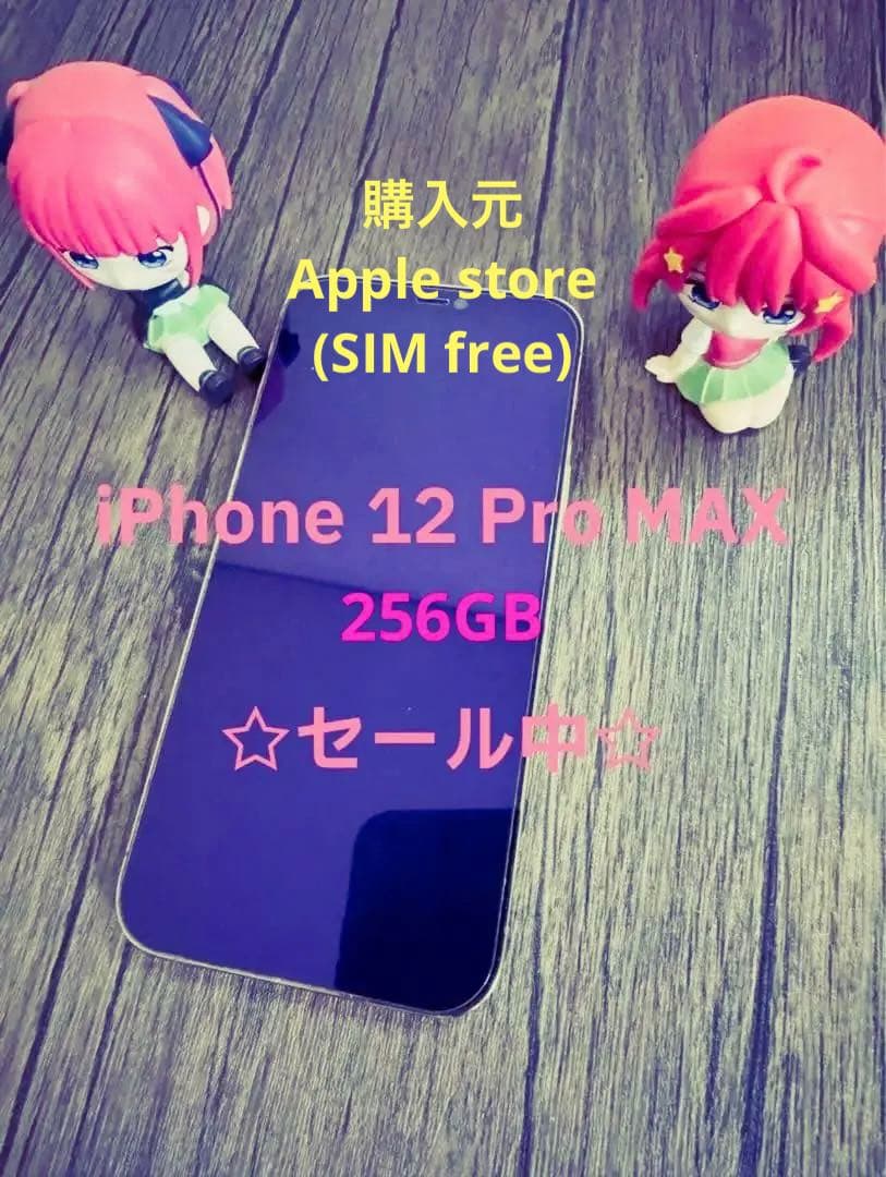 【割引】☆iPhone 12 Pro Max☆ 256GB 5G