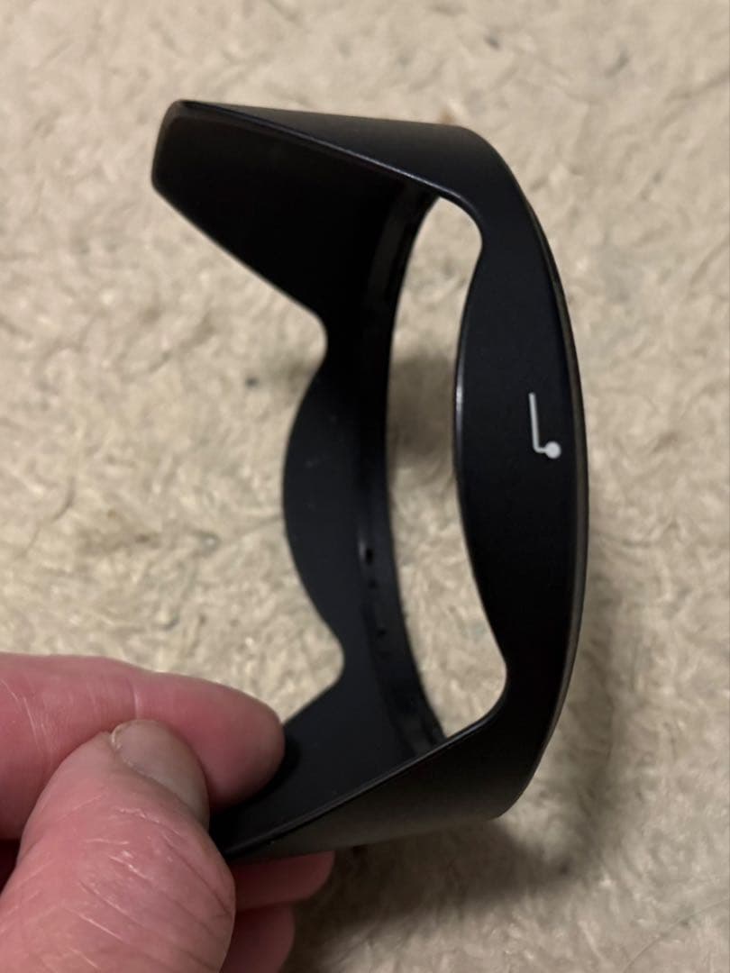 (※太麺)Nikon AF-P NIKKOR 10-20mm VR