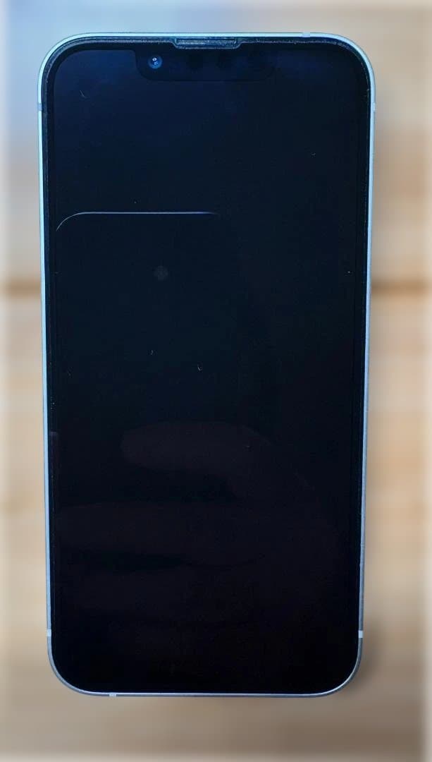 iPhone 13 mini 128 GB docomo カメラ不具合