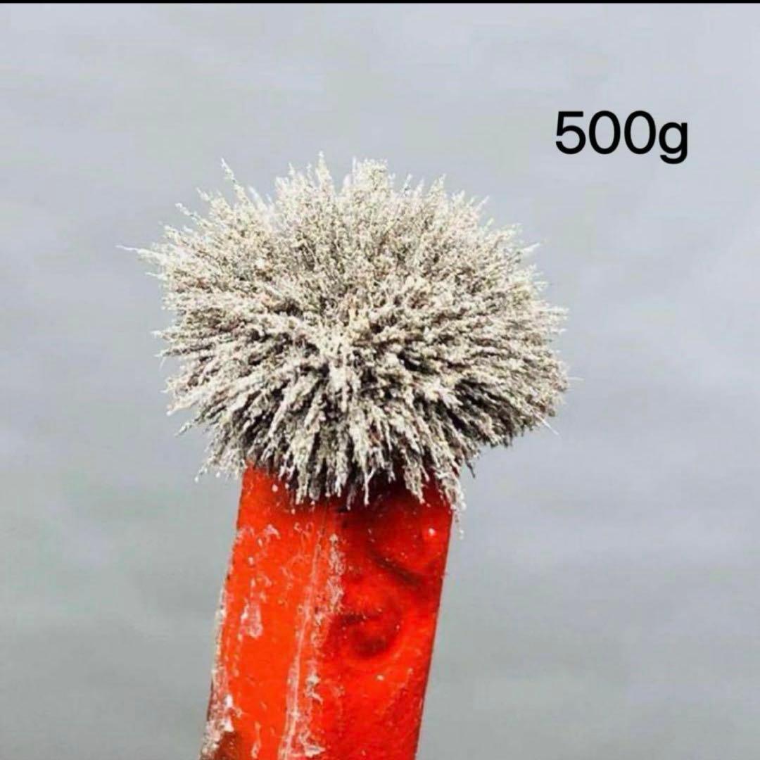 隕石粉 ギベオン隕石&アルタイ&セリコ　隕石　500g メテオライト