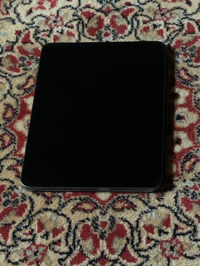 Apple iPad pro 11 M5スペースグレー 256GB