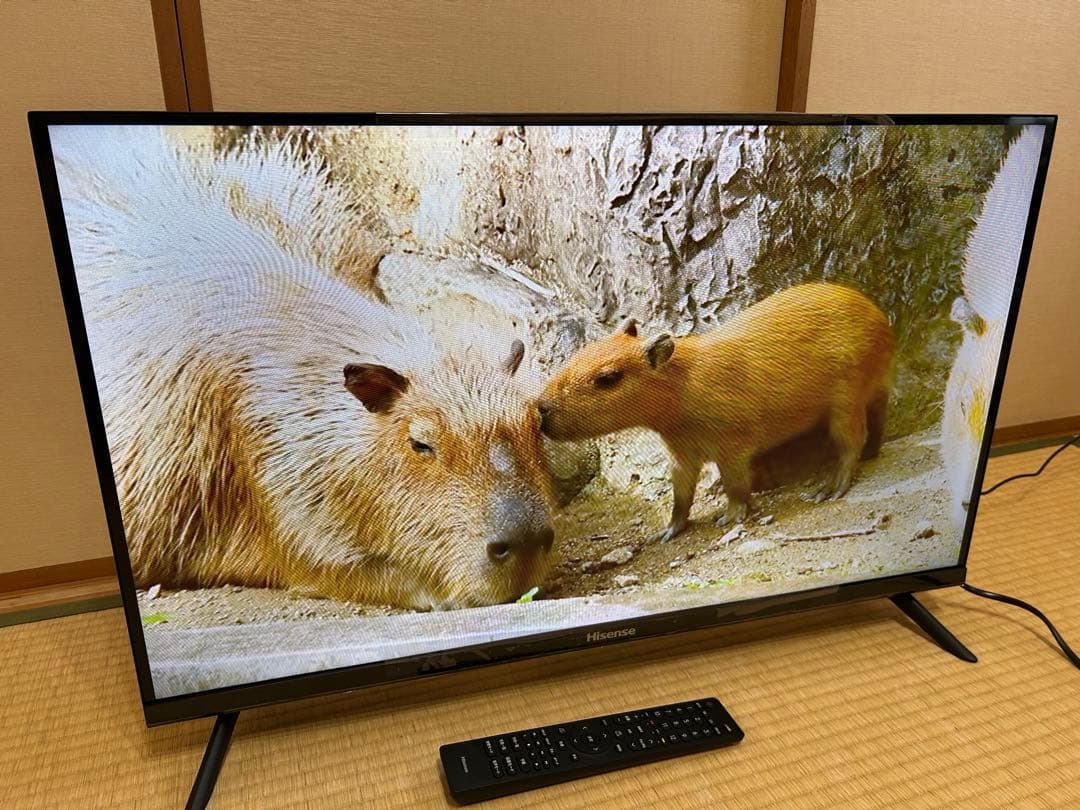 【ほぼ新品】 32v型 ハイビジョン液晶テレビ ハイセンス　2021年製