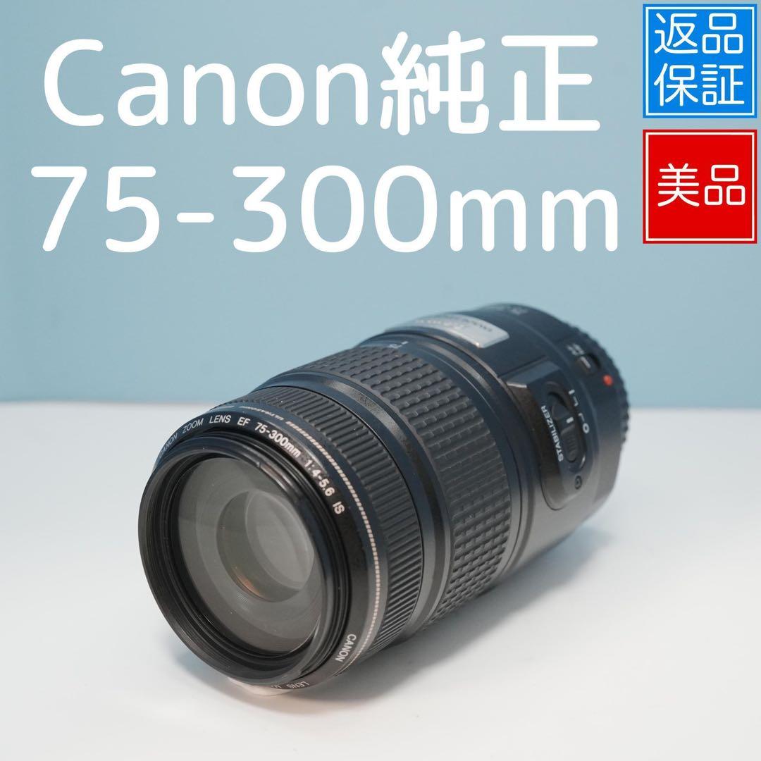 Canon純正 75-300mm 望遠レンズ 美品 a5177