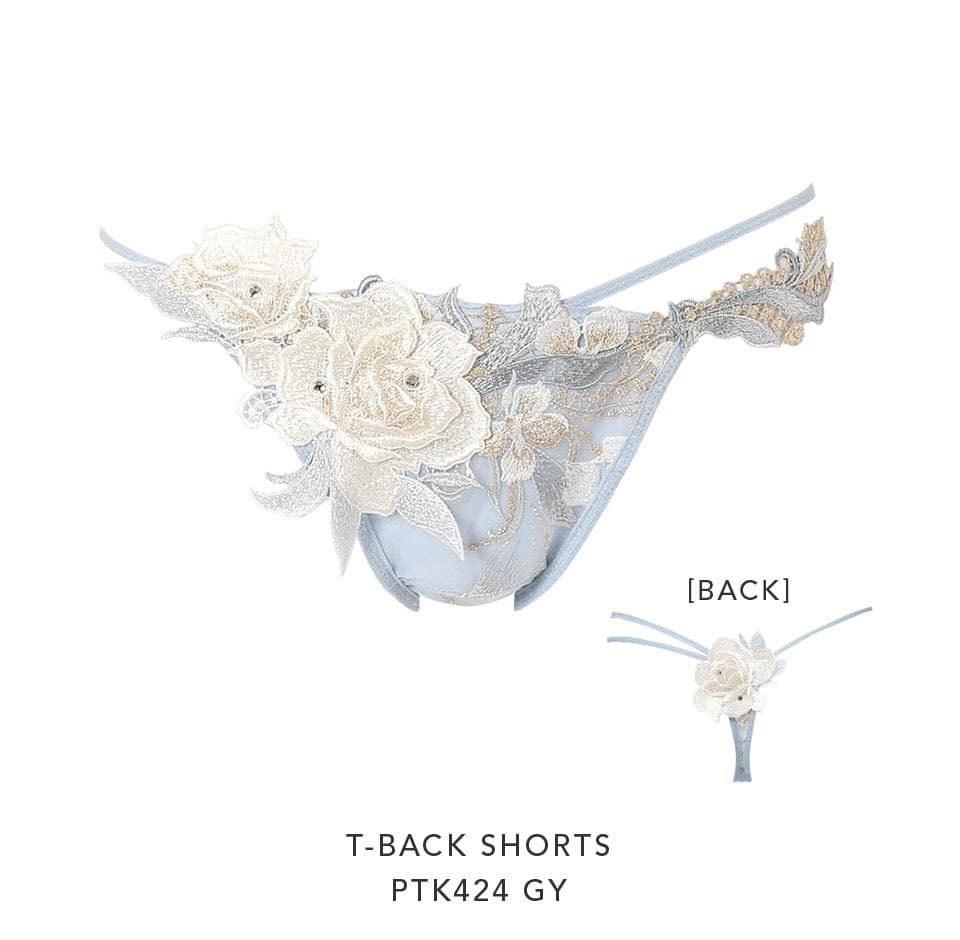 サルート24G　予約限定販売コレクション　ブラD65　TバックM　GY