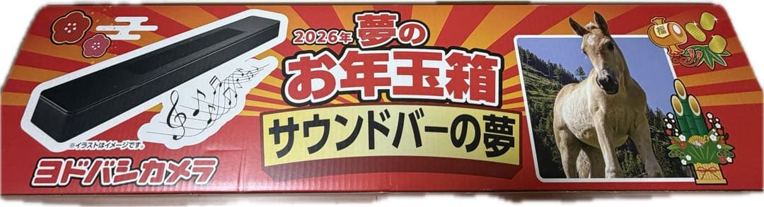 ヨドバシカメラ 夢のお年玉箱 サウンドバーの夢
