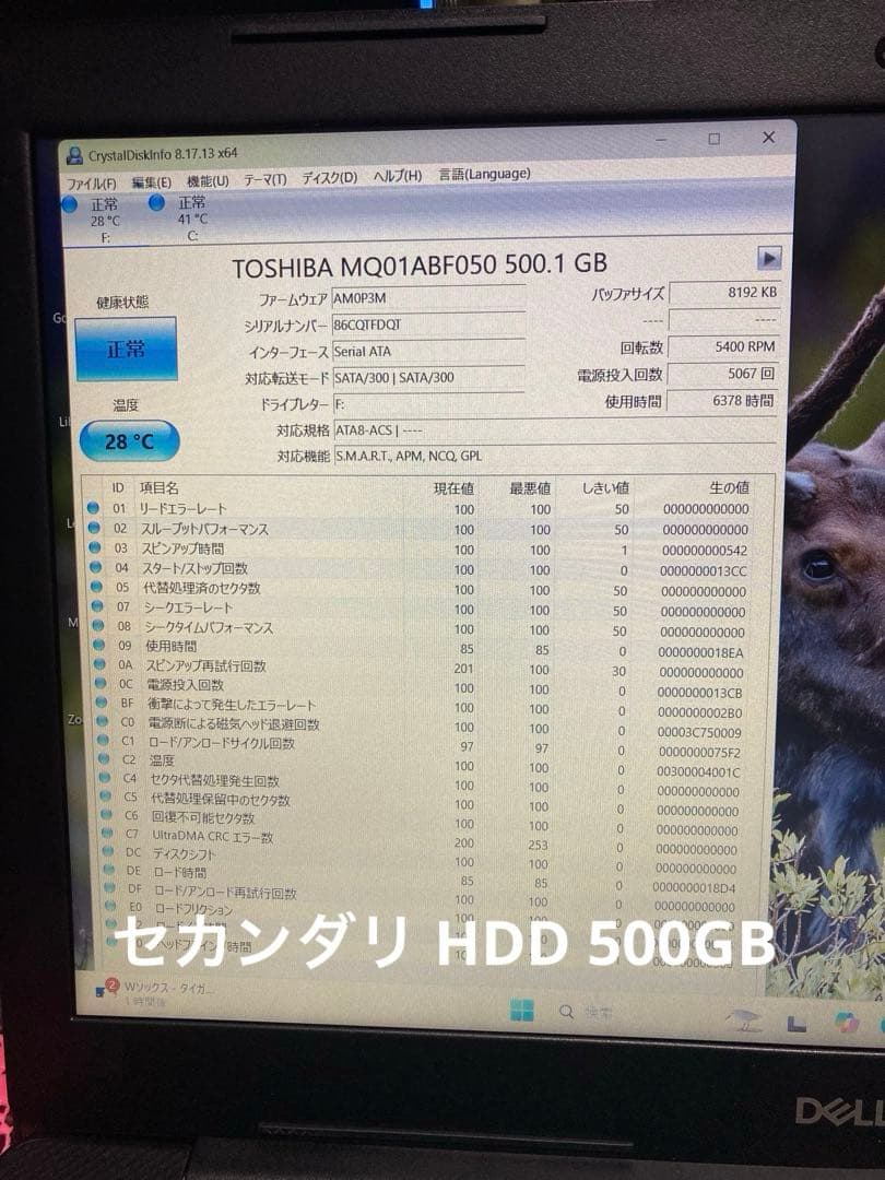 《極美品》DELL VOSTRO 3590 第10世代 Core i5
