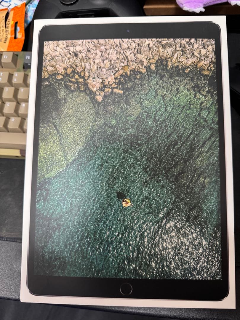 【ジャンク】 iPad Pro 10.5インチ A1709 512GB