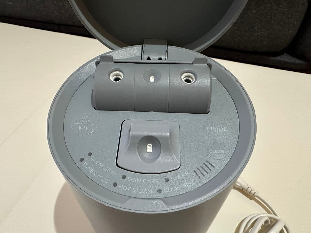 SALONIA ピュアブライトスチーマー グレー