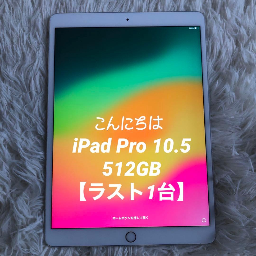 【完動品】iPad Pro 10.5 512GB 【すぐ発送】