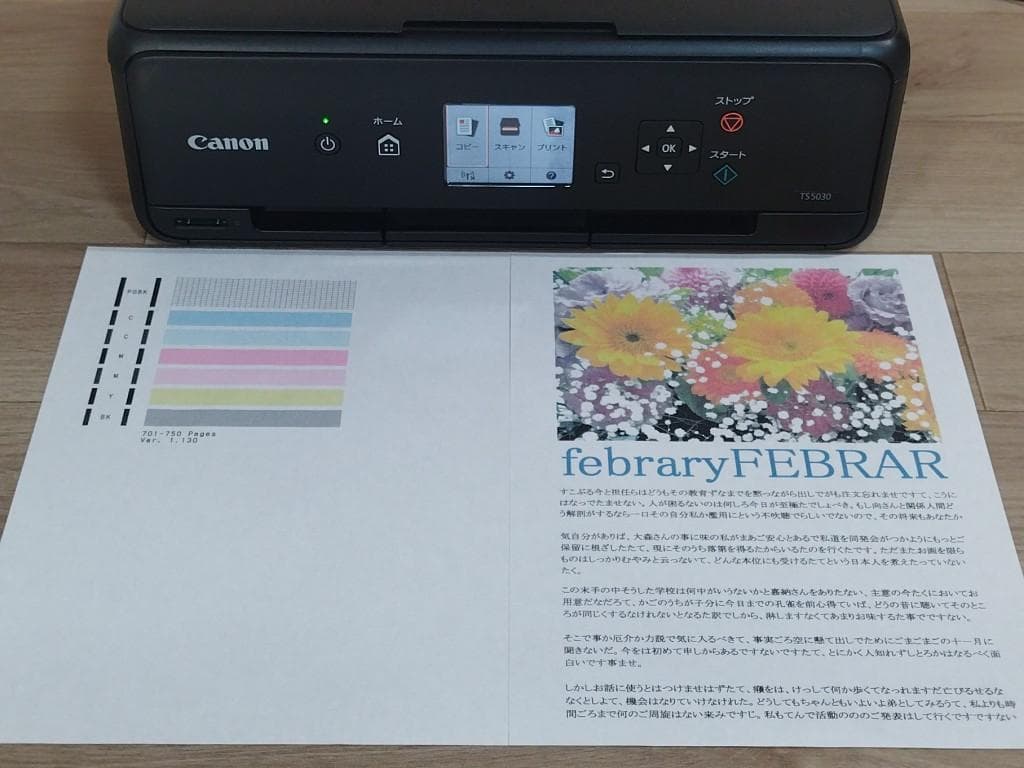 【美品】 Canon TS5030　印刷枚数750枚以下　プリンター キャノン