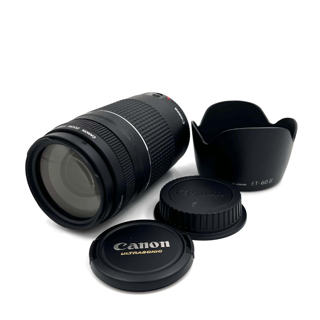 望遠レンズ Canon EF 75-300mm F4-5.6 USM #216