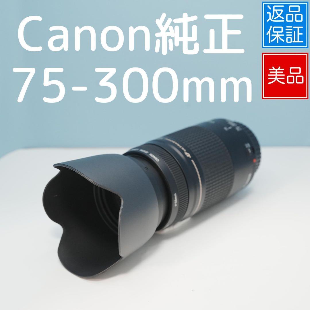Canon純正 75-300mm 望遠レンズ 極美品 a4963
