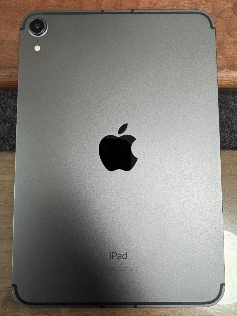 ふ*あ様 iPad mini 第6世代 256GB Cellular Penci
