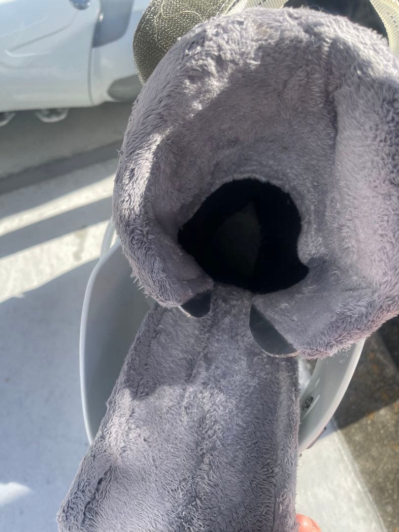 Nordica ノルディカNFS Cruise SL W 25.0-25.5cm