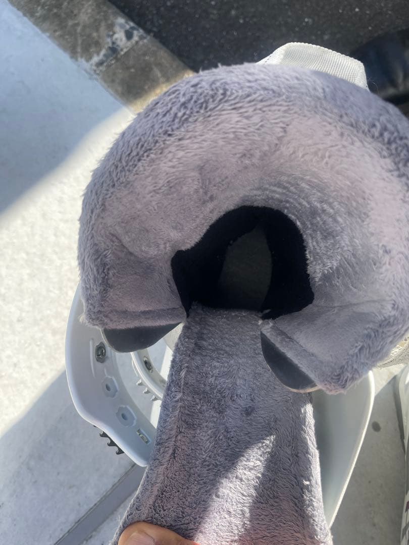 Nordica ノルディカNFS Cruise SL W 25.0-25.5cm