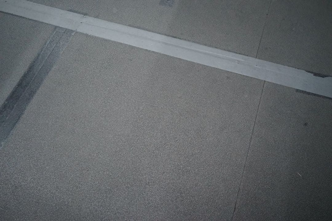 デジタルカメラ SONY RX1R