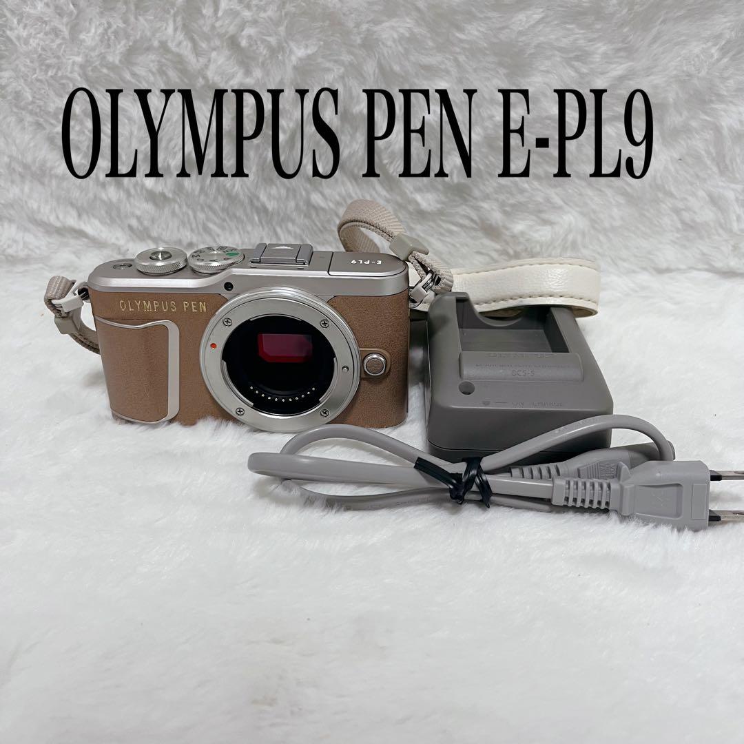 【希少】オリンパス E-PL9 ボディ