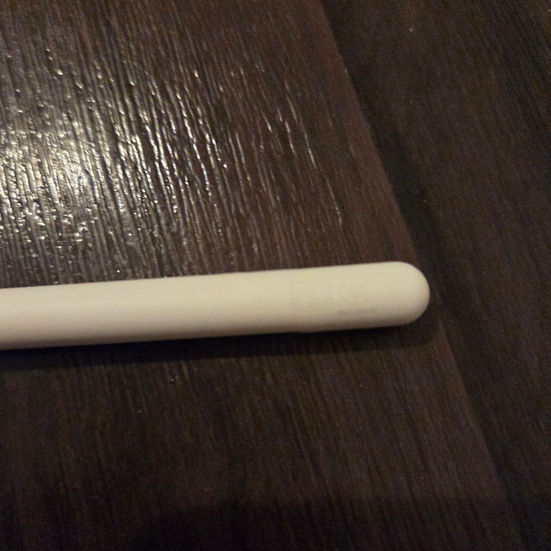 狸tampocon美品！iPad Pro&Apple Pencil Pro