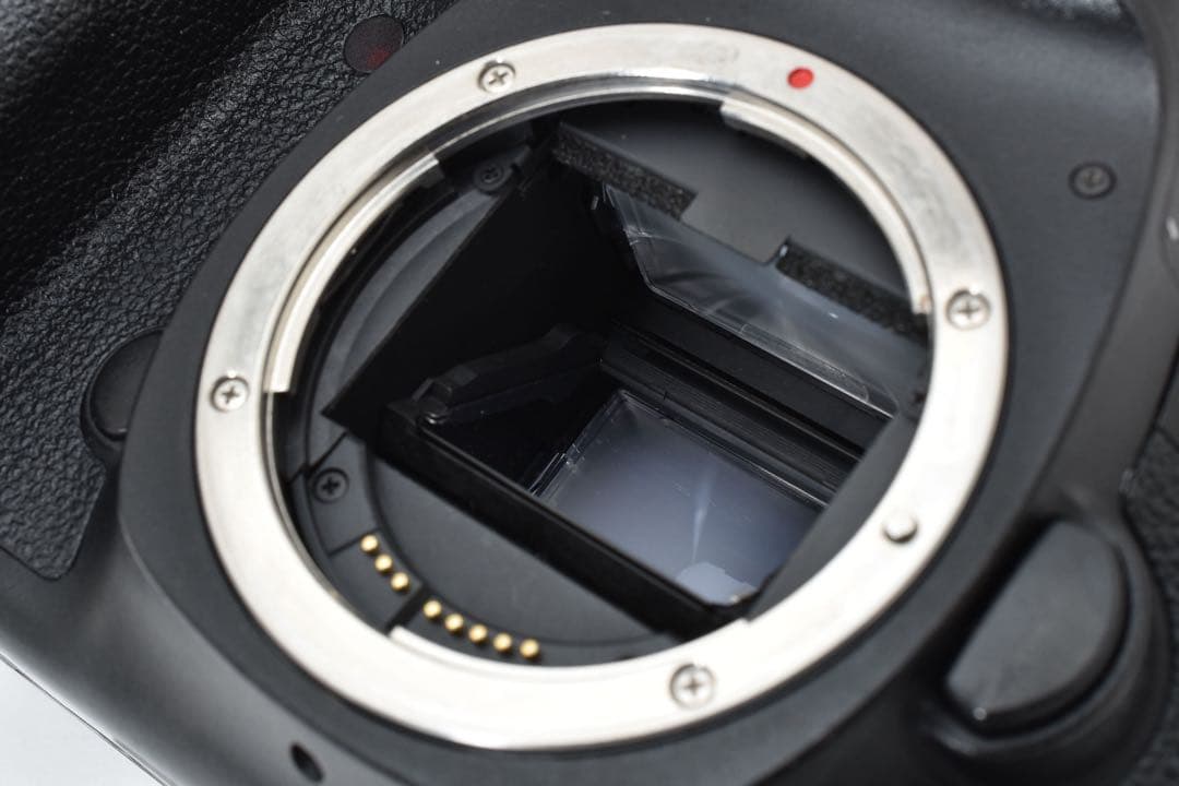 Canon EOS 5D mark III標準&望遠ダブルレンズセット