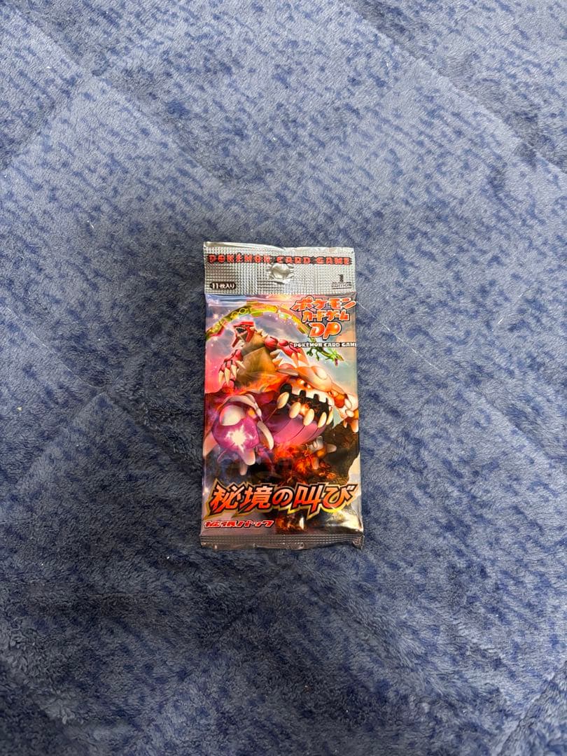 ⭐️最終⭐️ポケモンカードゲーム 秘境の叫び　未開封パック