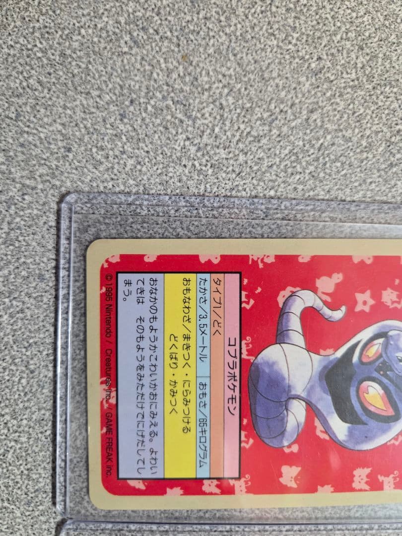 【超希少エラー】トップサン ポケモンカード 裏青 ナンバーなし 3枚セット