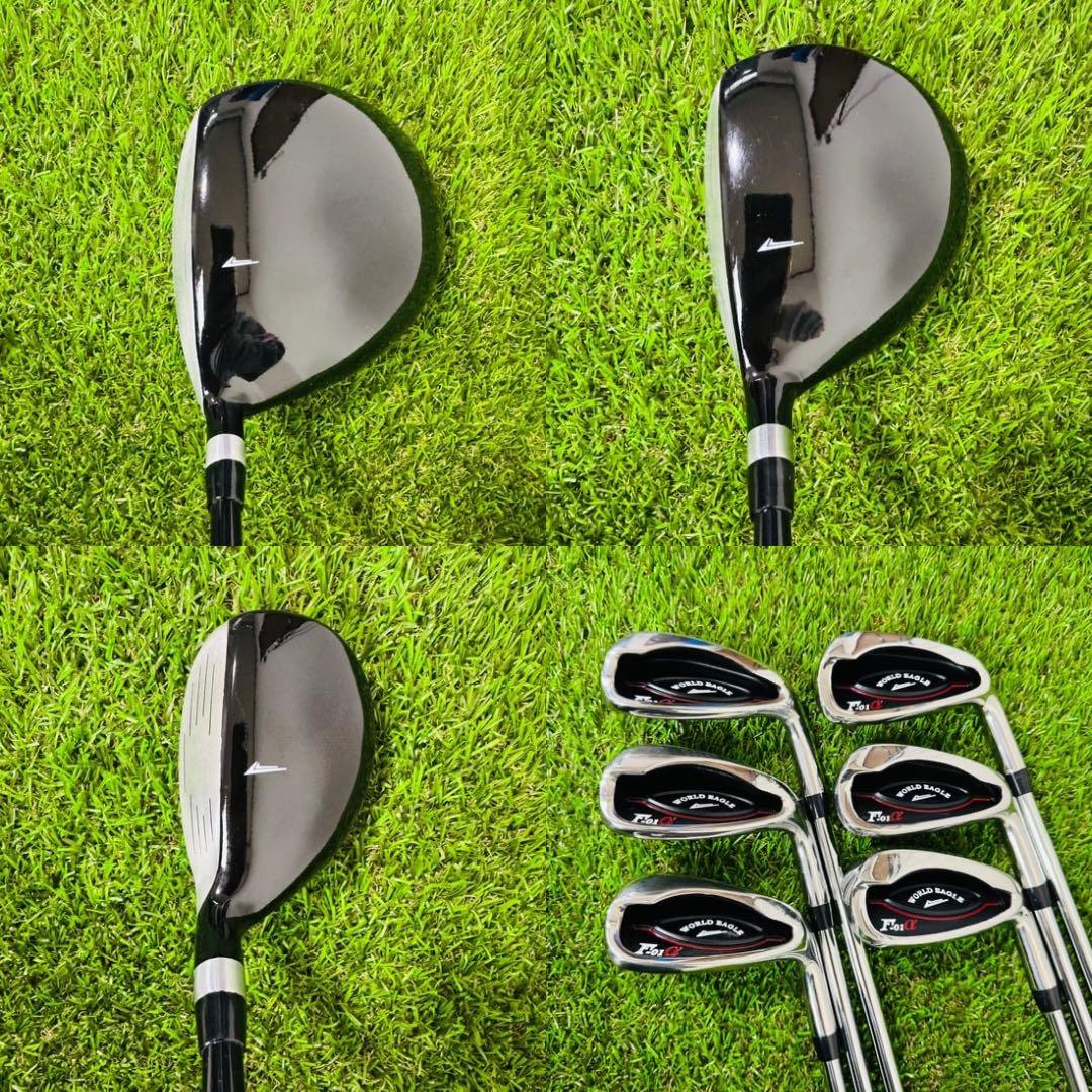 【美品・初心者男性向け】WORLD EAGLE F-01α ゴルフクラブセット