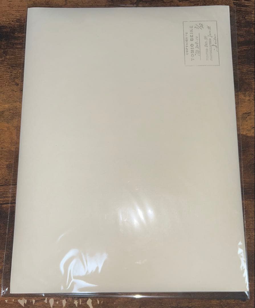 TOMIO SEIKE 清家富雄　オリジナルプリント 1995年