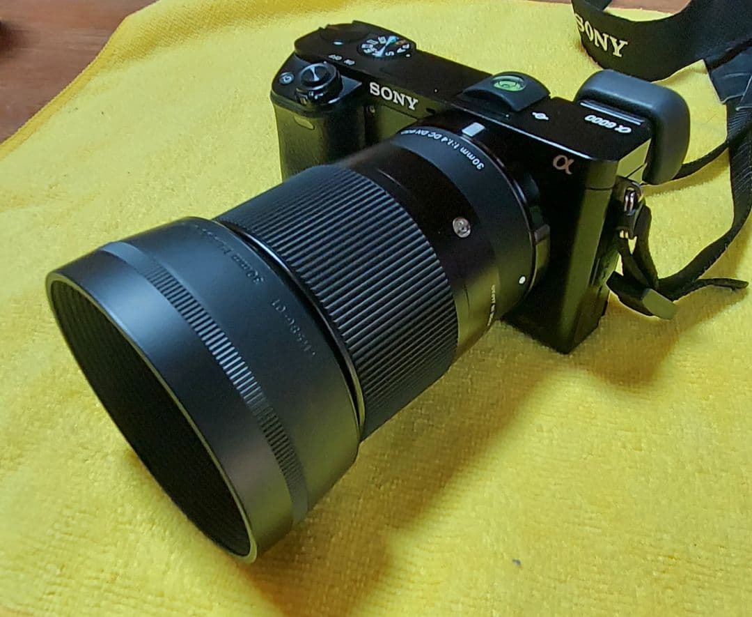 SONY　α6000