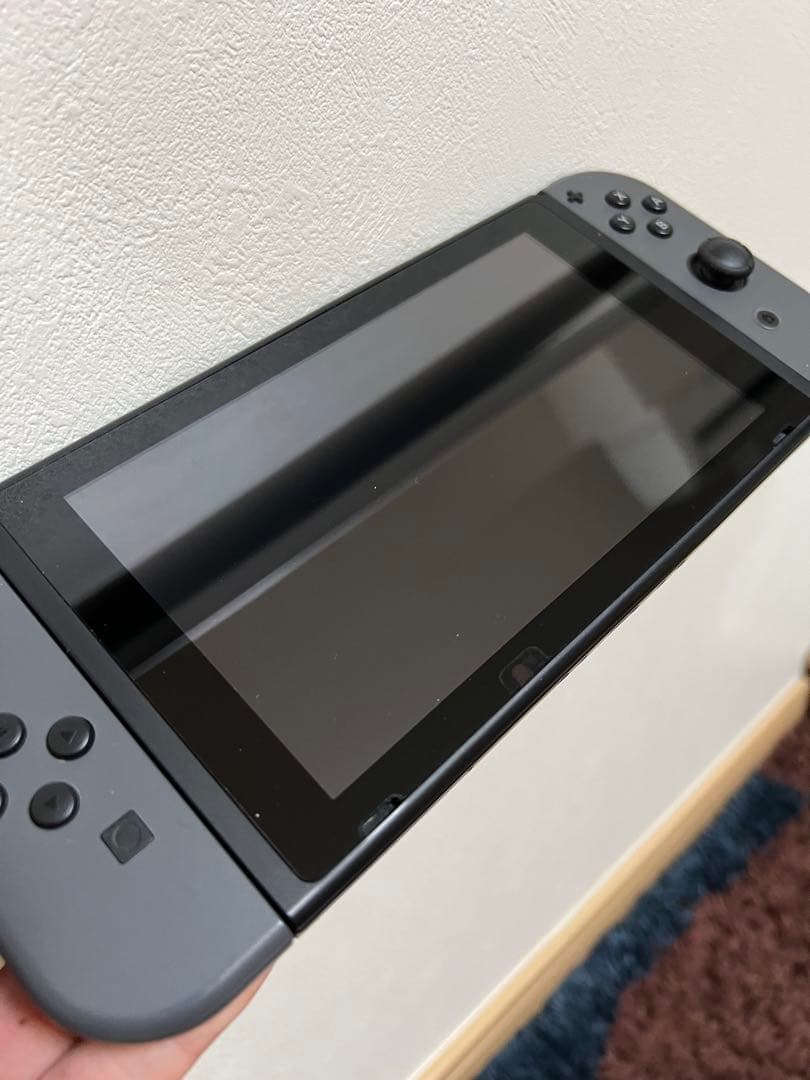 Switch 本体 スイッチ ブラック 美品 付属品完備 非純正プロコン付き