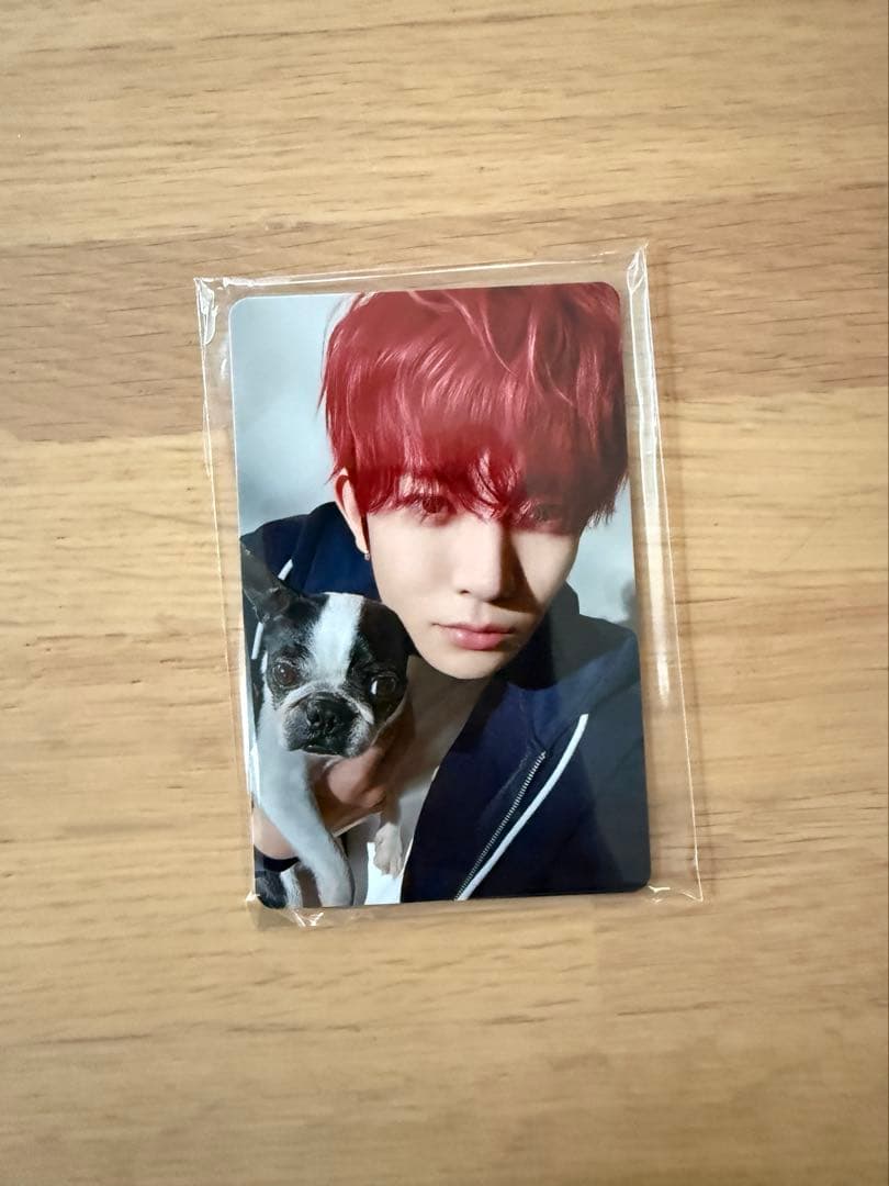 ENHYPEN アンケートトレカ2025 ヒスン