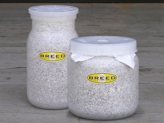 BREED　１１００菌糸ビン１４本　１５００菌糸ビン５本　Go様