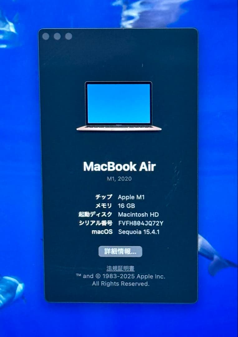 MacBook本体 Apple Macbook Air(2020 M1) 16GB 1TB