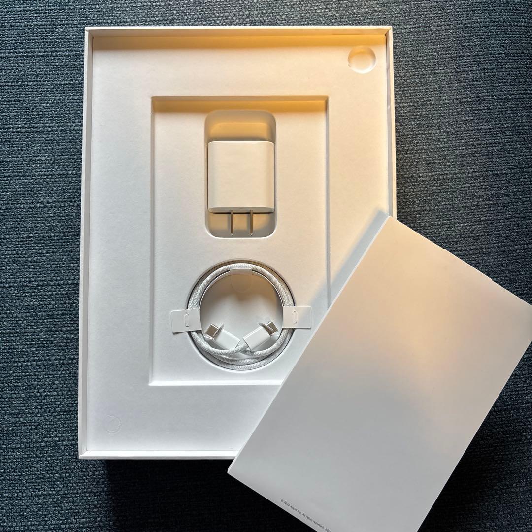 iPad 第10世代 64GB ブルー　傷、画面焼け有り