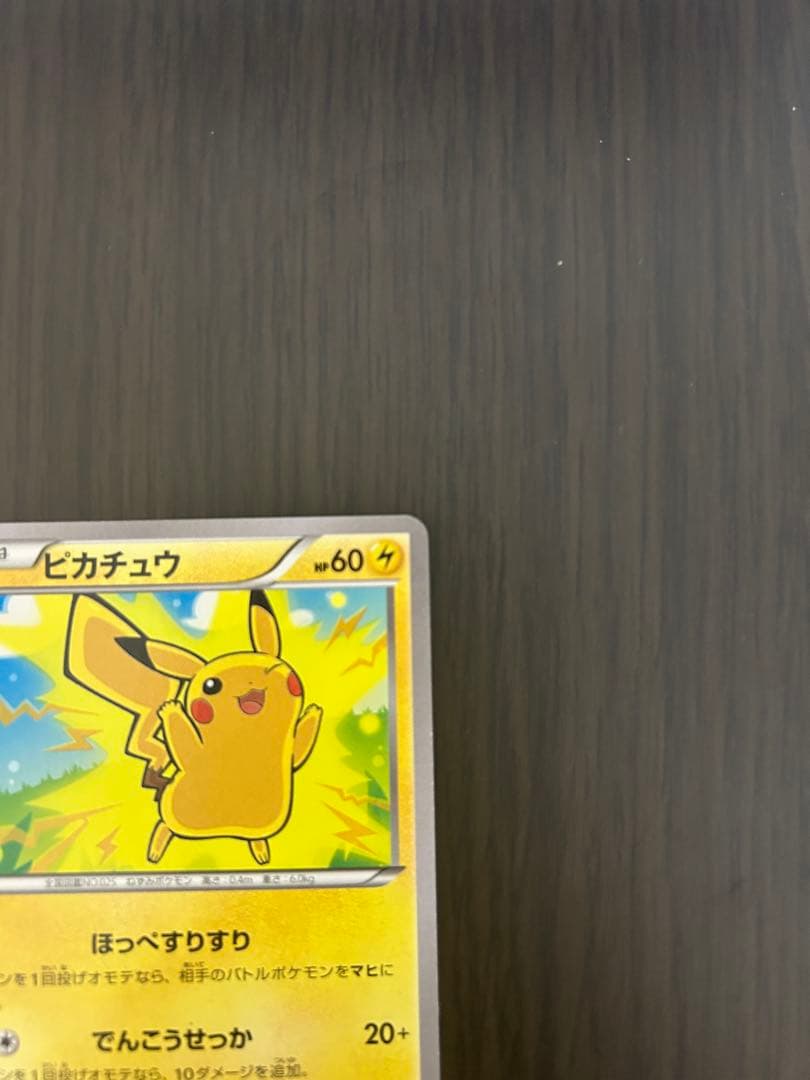 ピカチュウCアンリミ コレクショ ンXXY1