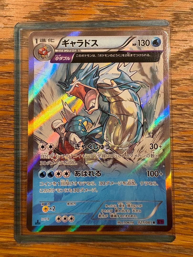 ギャラドス R XY7 1ED