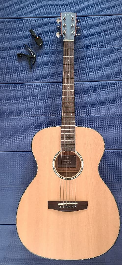 アコースティックギター HEX F100 M ケース付き 美品