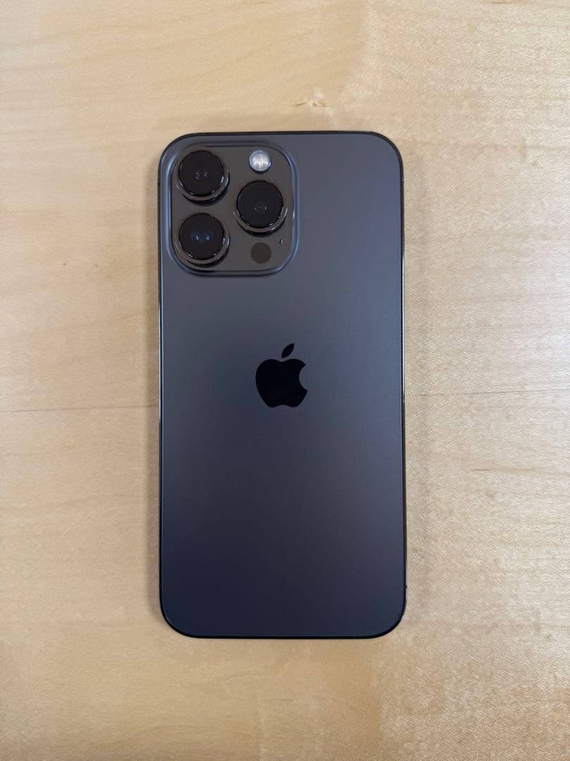 【しろくまさん様】Apple iPhone 13 Pro グラファイト 256G