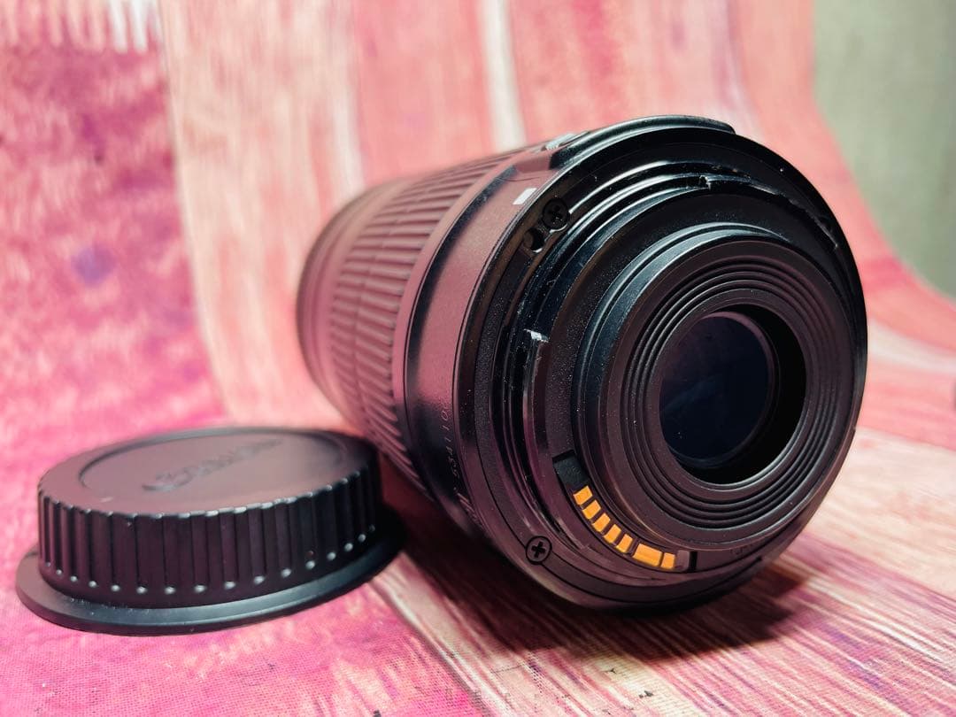 CANON キャノン EF-S 55-250mm 1:4-5.6 IS STM