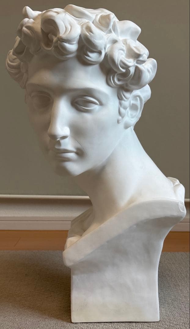 石膏像 ジュリアーノ・メディチ胸像 デッサン