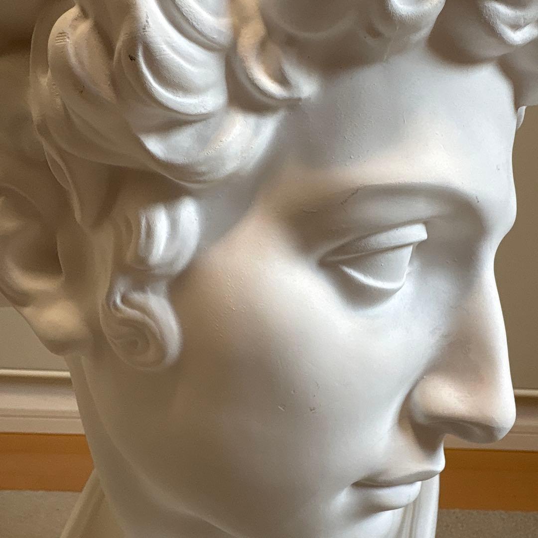石膏像 ジュリアーノ・メディチ胸像 デッサン