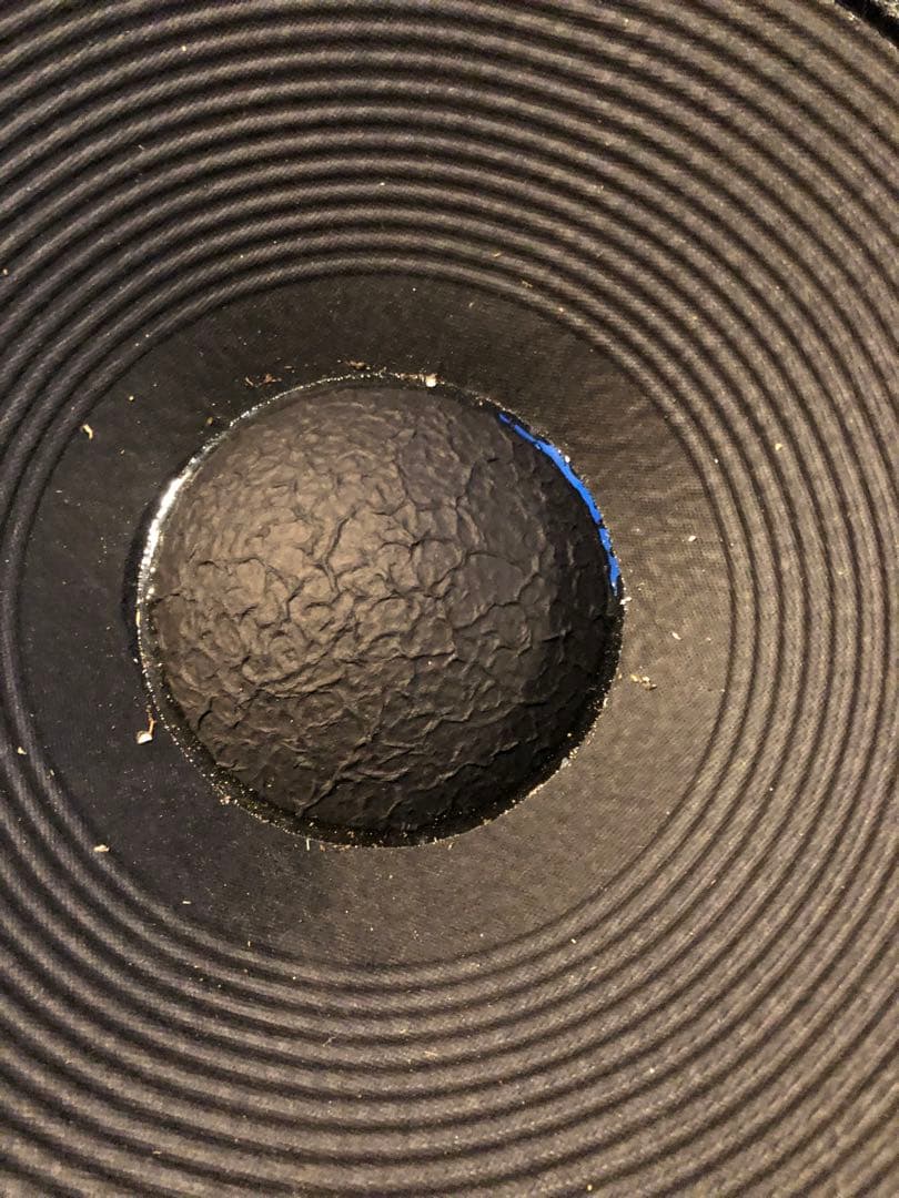 メーカー不明　EV? 約46cm スピーカー